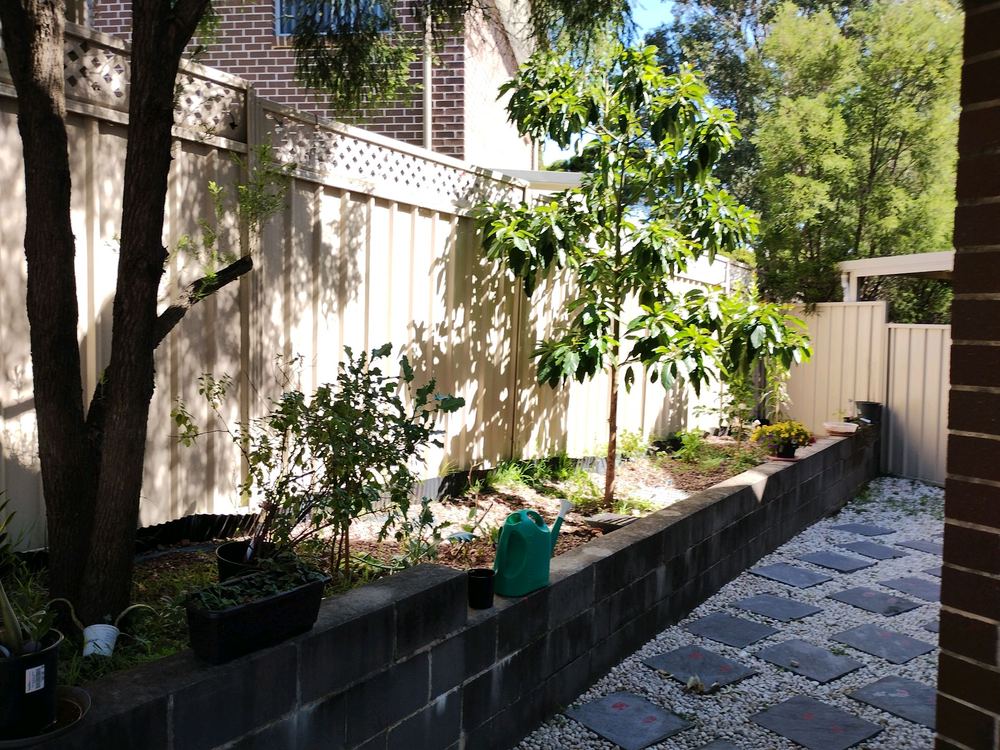 Living near bushland: what raises termite risk around a Gables home