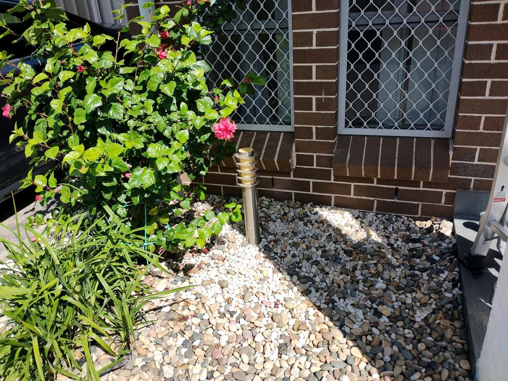 Garden conditions against the walls that supply termites with moisture and cover, found during a building and pest inspection in Blacktown