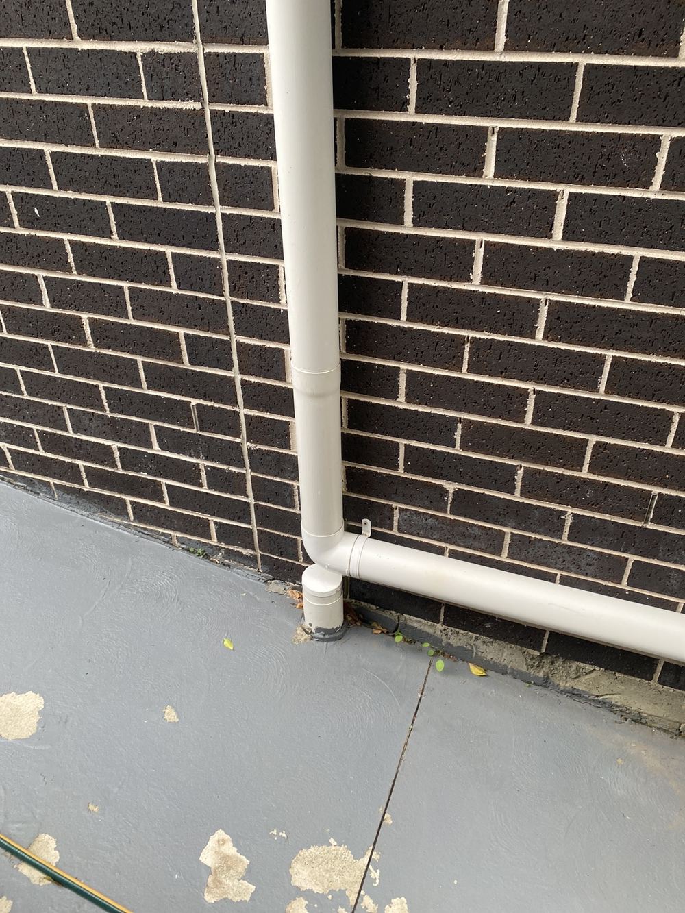 Rainwater tank downpipe laid without enough fall to drain, found during a pre-purchase inspection in Carlingford