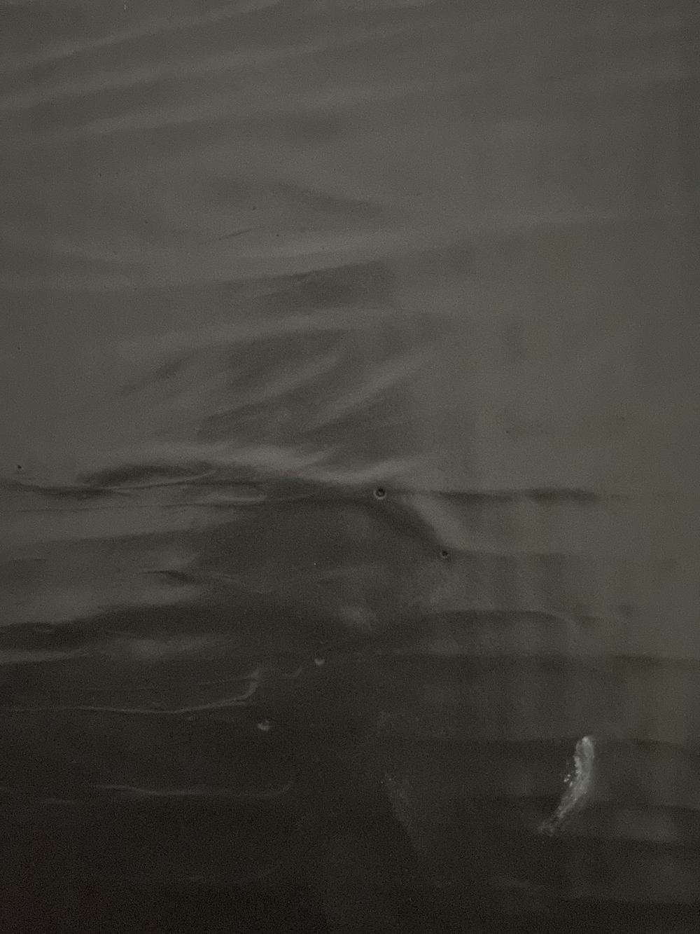 Pinholes in a shower floor membrane, each one a weak point for leaks, found during a waterproofing inspection in Gables
